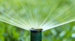 Talk of the Town: April 2026